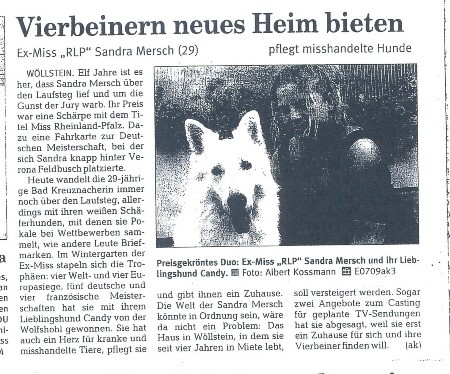 Über mich Über meine Liebe zu Hunden